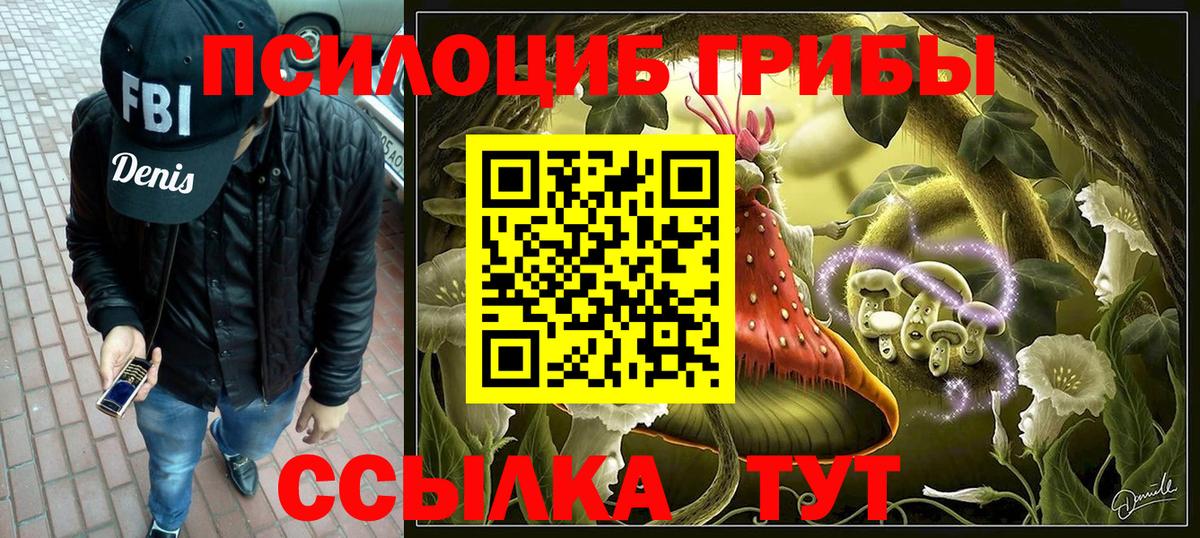Псилоцибиновые грибы прущие грибы  Вход с VPN  Удомля 